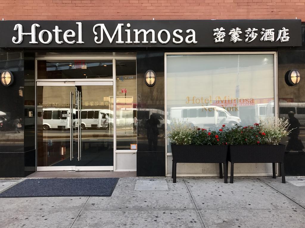 Hotel Mimosa New York Exterior photo